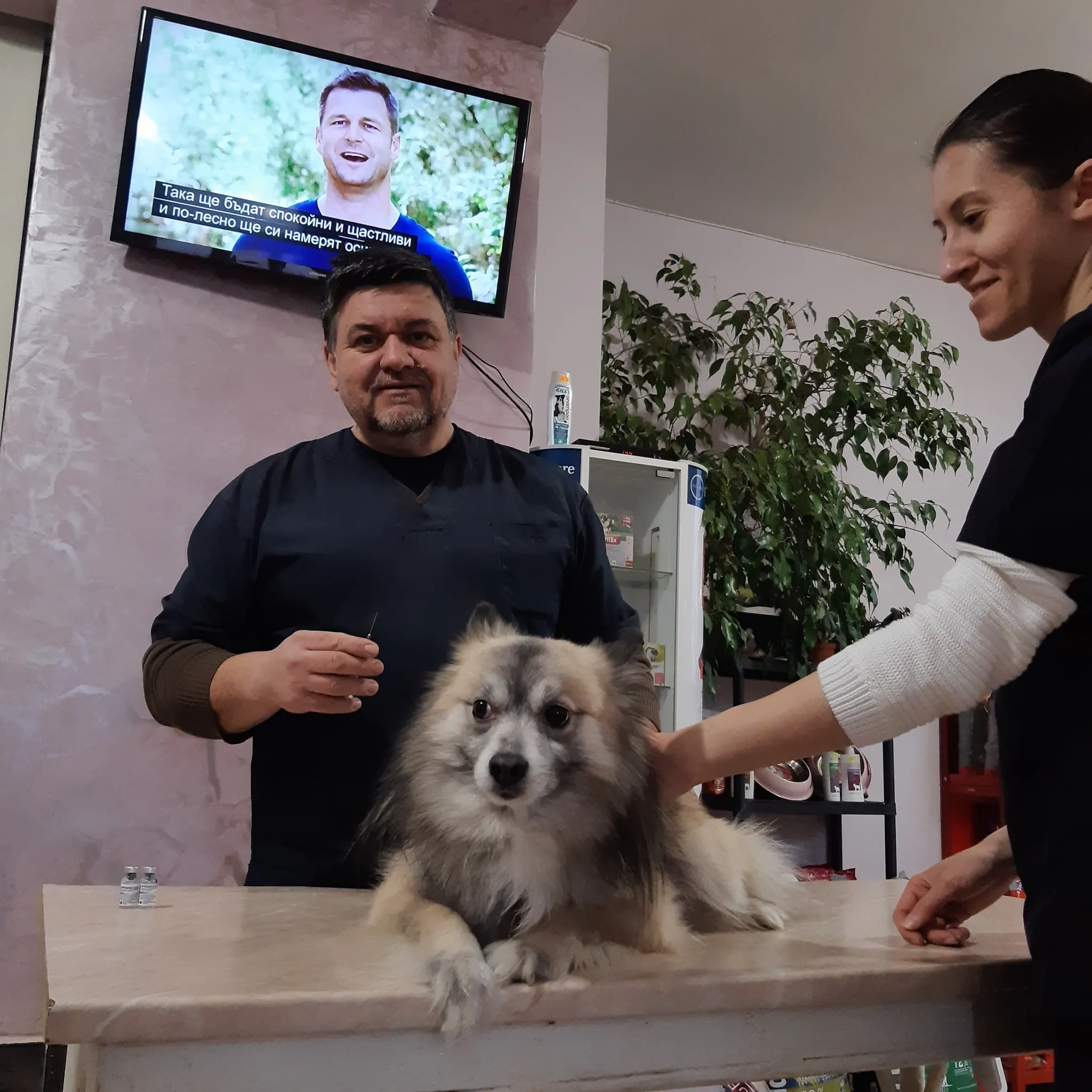 healthcare professionals